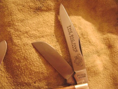 Puma Cape Buffalo Blade.JPG