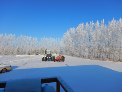 Clear, with hoar frost.