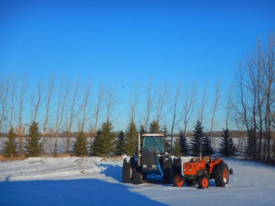 DSCN4435.JPG