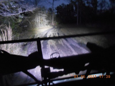 Slick mess just below the house