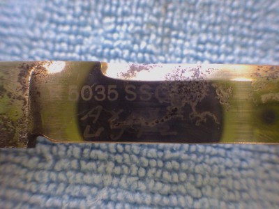RIMG1387.JPG