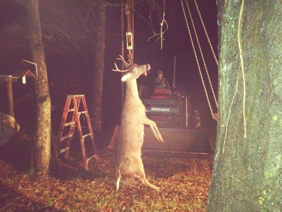 Ready to loose his hide.