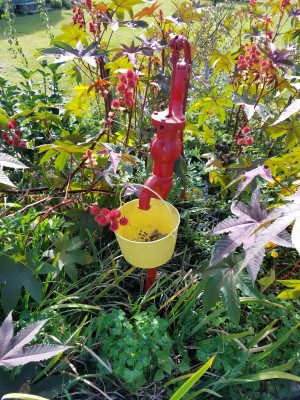 20171003_101554.jpg