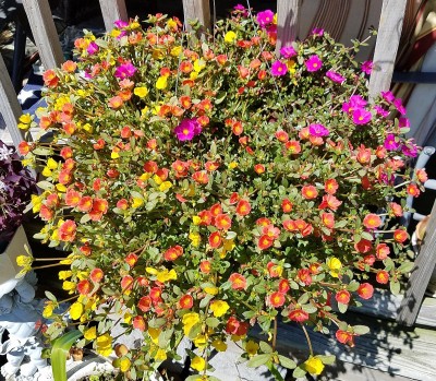 20170625_110431.jpg