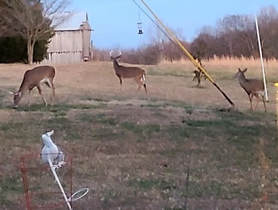 20210117_171814.jpg