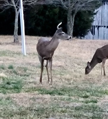 20210121_170523.jpg