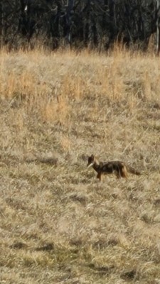 IMG4546531185195335623.jpg