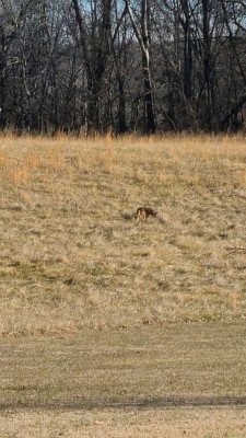 IMG5194119927835489901(1).jpg