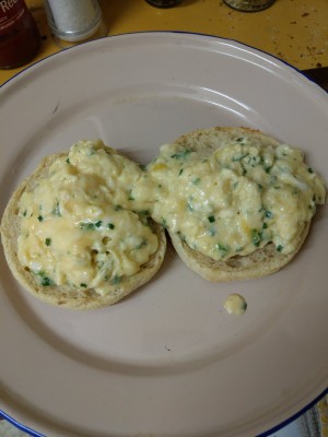 IMAG0437.jpg
