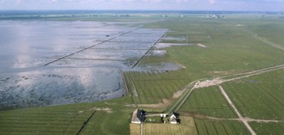 Hamburger-Hallig.jpg