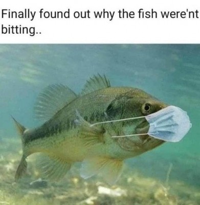 fish mask.jpg