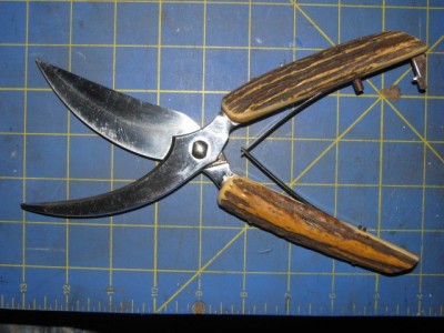 eloiPernetStagHandledPoultryShears2019 001.jpg