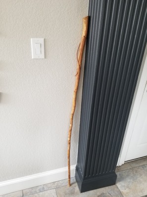 Walking stick 3.jpg