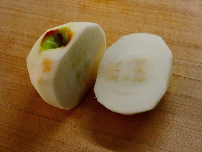 DSCN8786.JPG
