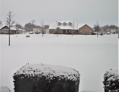 20210217_080806.jpg
