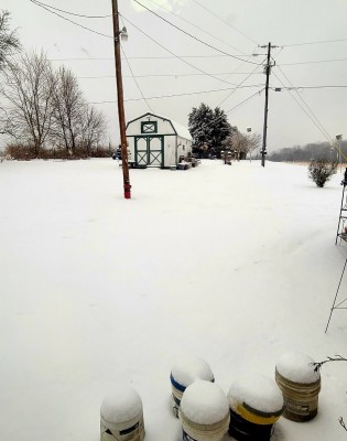 20210218_065111.jpg