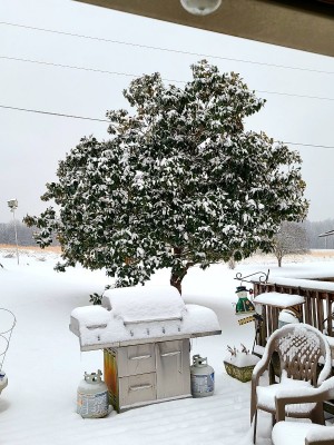 20210218_064940.jpg