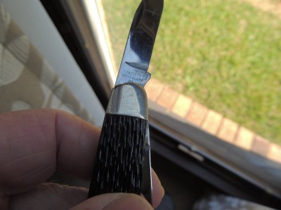 DSCN6700.JPG