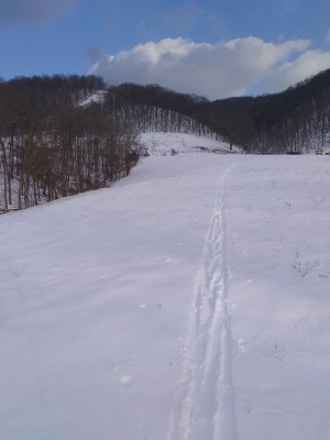 IMG_20210220_164016995.jpg