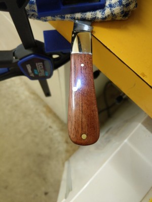 IMAG0454.jpg