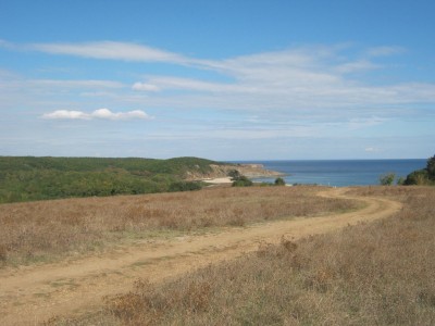 IMG_5001.JPG