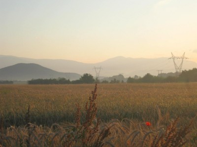 IMG_5456.JPG