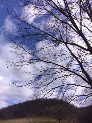 IMG_20210306_110352183.jpg