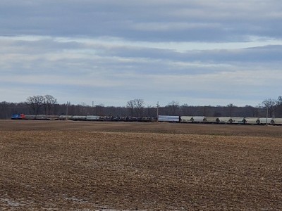20210313_154135.jpg