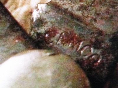 DSCN9381.JPG