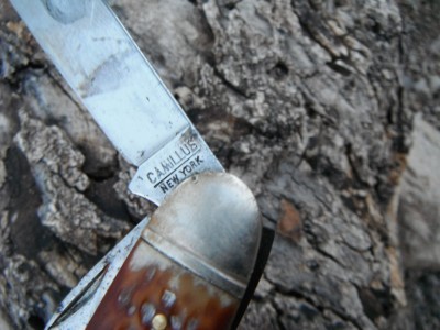 DSCF9680.JPG