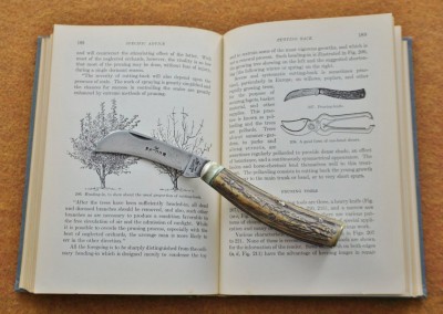 Pruning Knife Saynor Book 1898 (1400x993).jpg