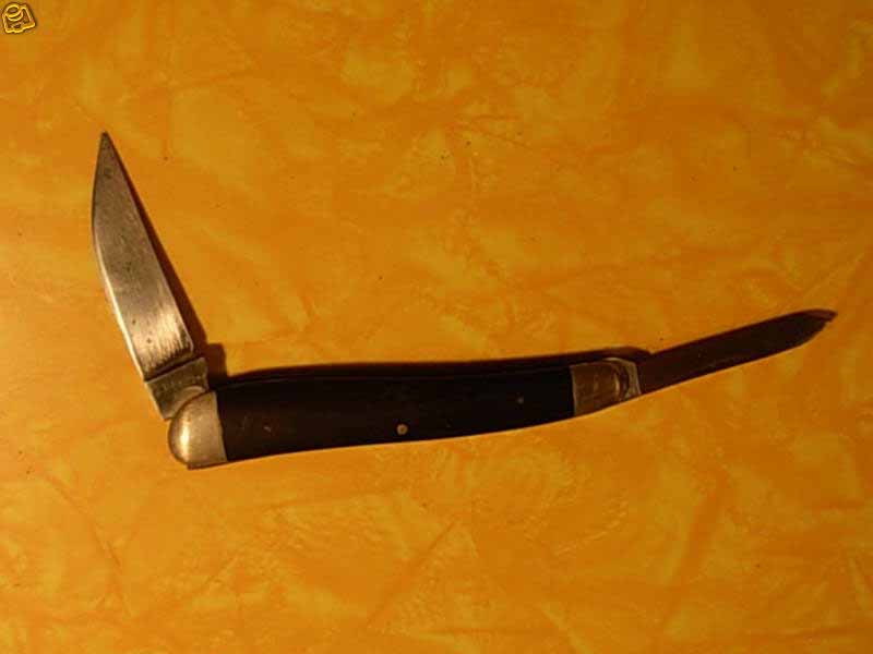 RobesonWharnecliff3.jpg
