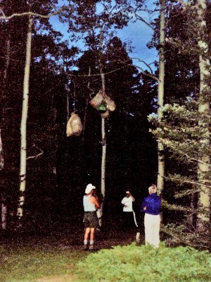 Hanging the bear bags