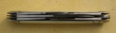 IMGP0900.JPG