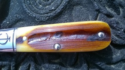 WP_20180409_074.jpg