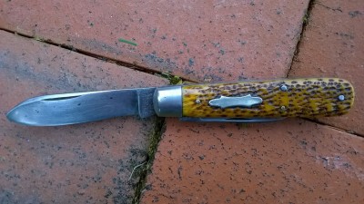 WP_20170517_066.jpg