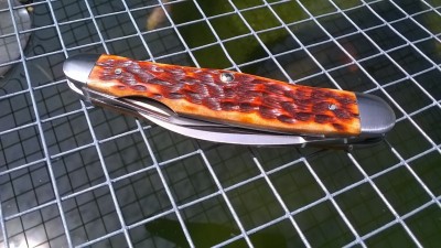 WP_20180602_016.jpg