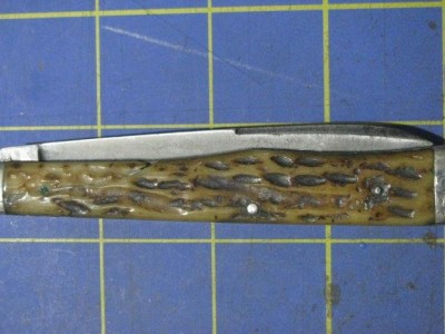 Bone12.JPG