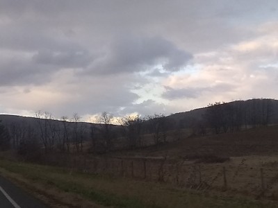 IMG_20210401_183731453.jpg
