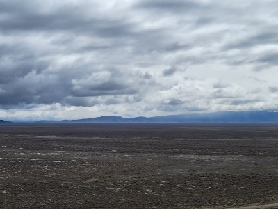 20210322_110643.jpg
