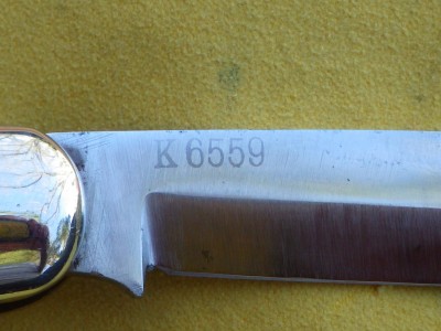 RIMG0514.JPG