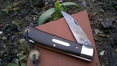 WP_20180612_011.jpg