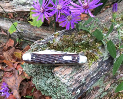 EDC447.jpg