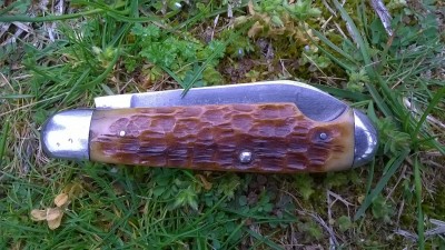 WP_20180430_007.jpg