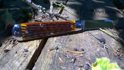 WP_20170627_056.jpg