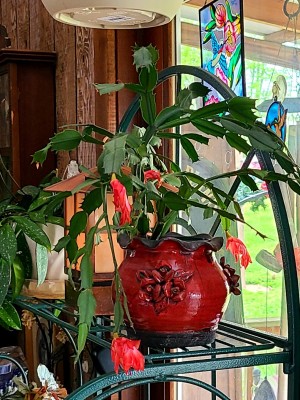 20210414_163839.jpg