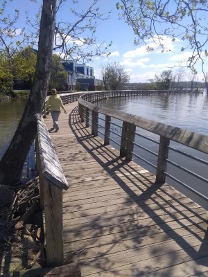 2021-04-17_11-01-47_-_hiking.jpg