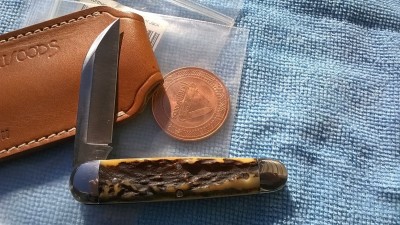 WP_20181111_004.jpg