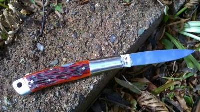 WP_20180412_013.jpg