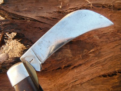 DSCF9646.JPG